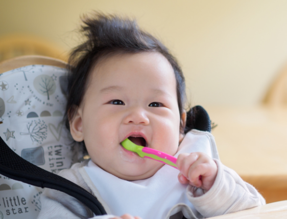 Giới thiệu về công ty