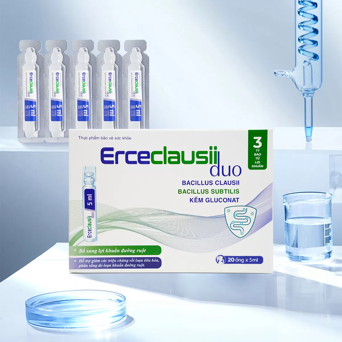 Men Ercecclausii Duo