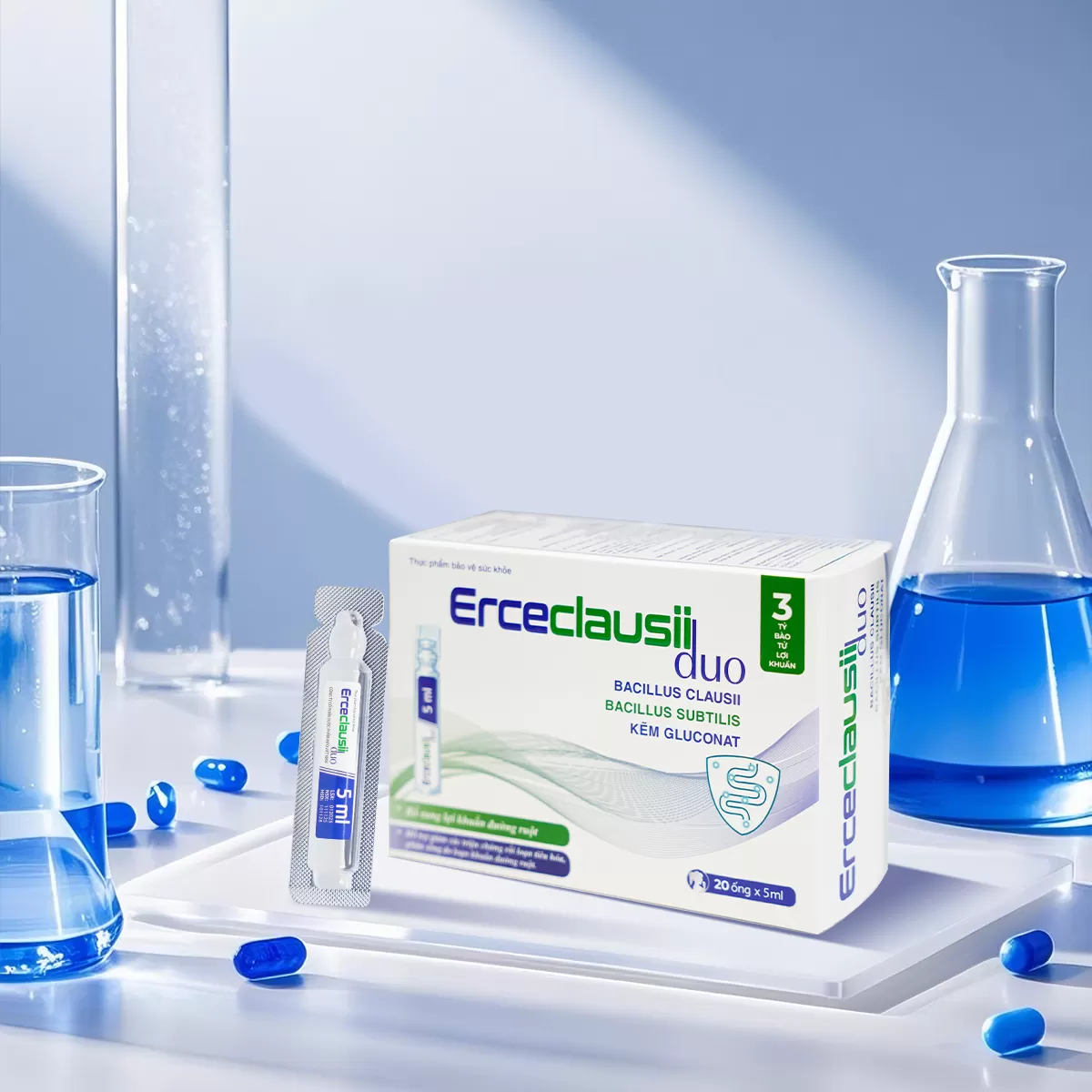 Men Ercecclausii Duo