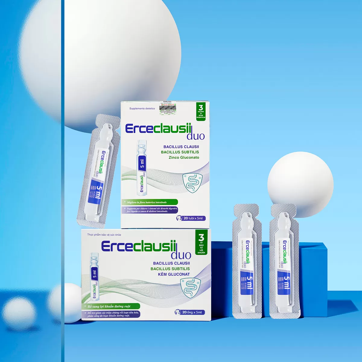 Men Ercecclausii Duo