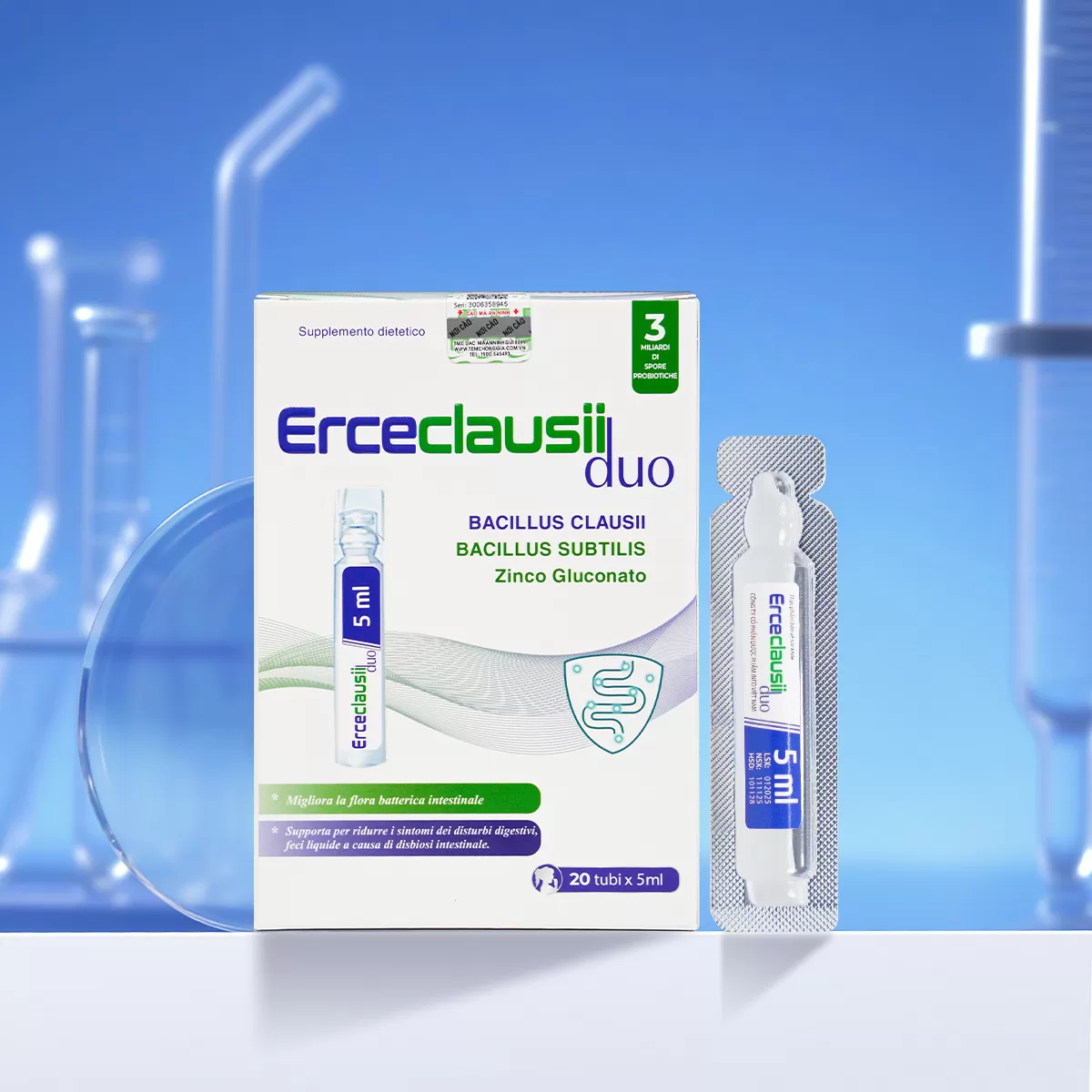 Men Ercecclausii Duo